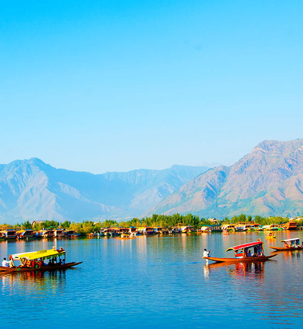 Kashmir