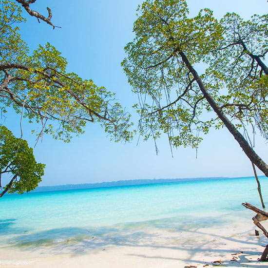 Explore Andaman Escape