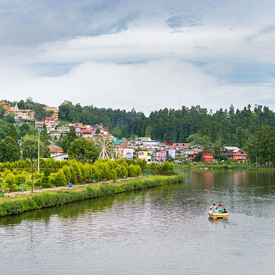 Darjeeling Mirik Delight