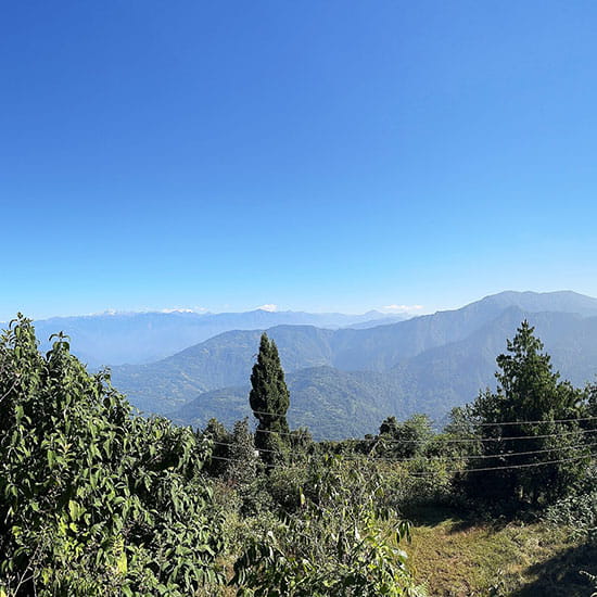 Kalimpong Darjeeling Scenic Escape