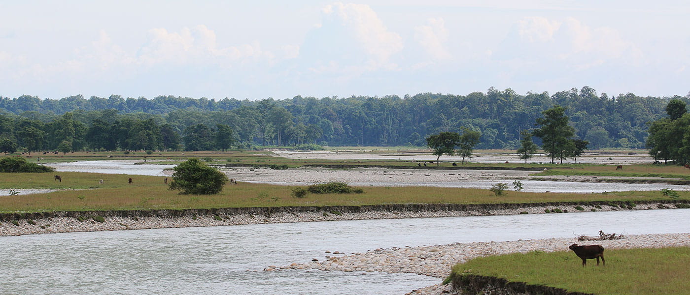 Dooars Forest & Wildlife Trail