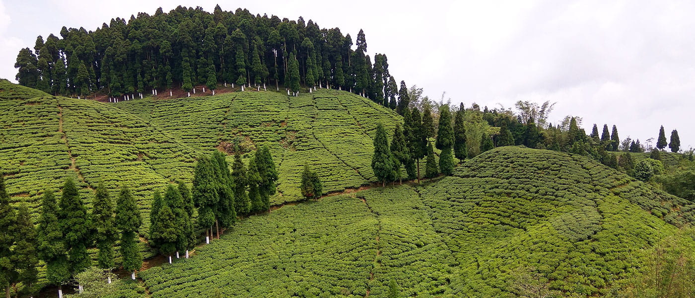 Mirik Lakeside Escape