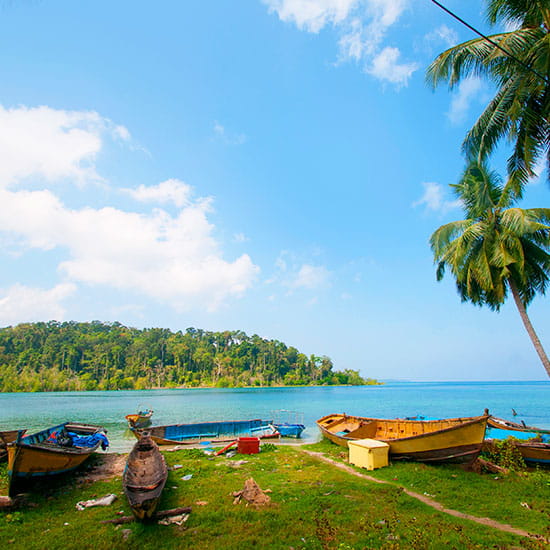 Best of Andaman Tour